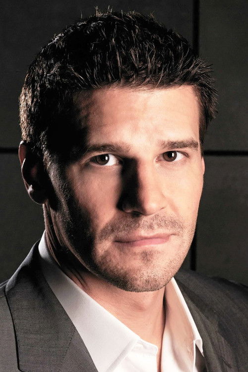David Boreanaz as Seeley Booth