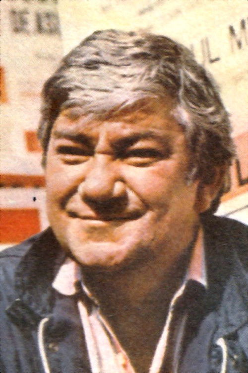 Nicolae Dinică as Nicolae Mihalache