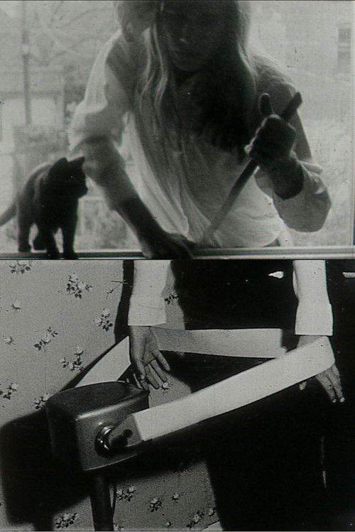 We Hope You Enjoy This Film