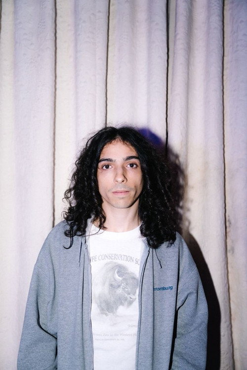 Dominic Digesu as Slef