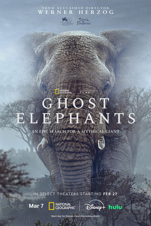 Ghost Elephants poster