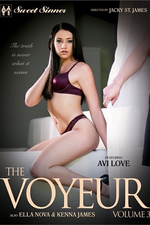 The Voyeur 3 poster