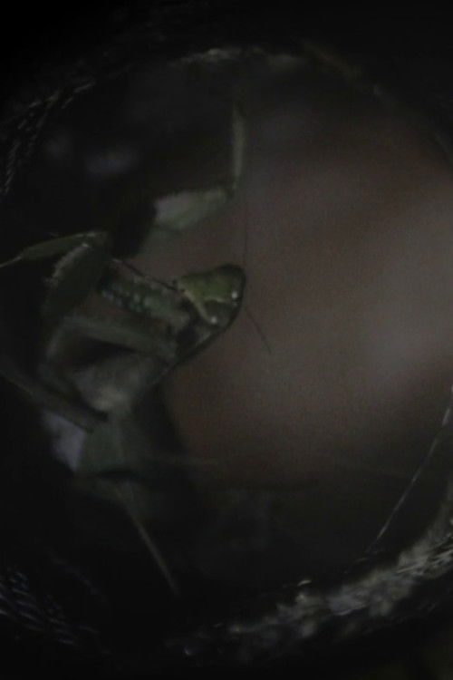 Spaghetti Ramen poster