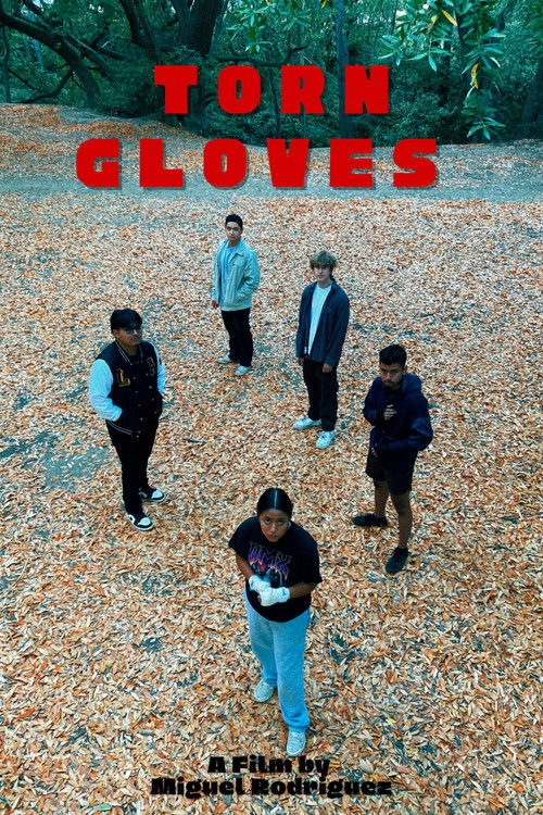Torn Gloves poster