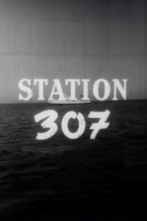 Station 307 poster