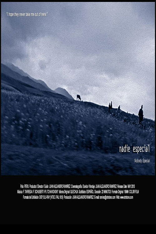 Nadie Especial poster