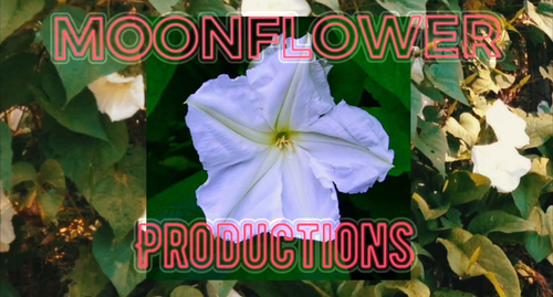 Moonflower Productions logo