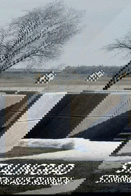 Stalingrad - Stimmen aus Ruinen