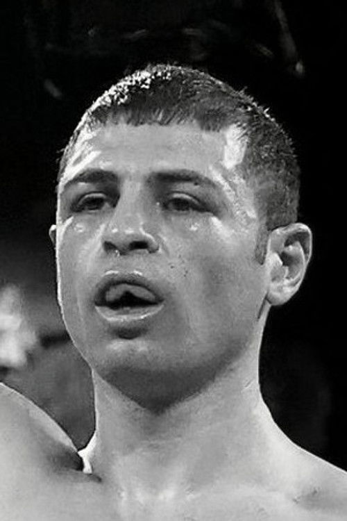 Petros Ananyan as Self