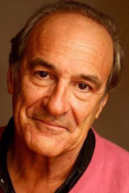 Hervé Masquelier as Stepfather