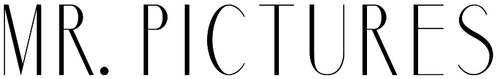 Mr. Pictures logo
