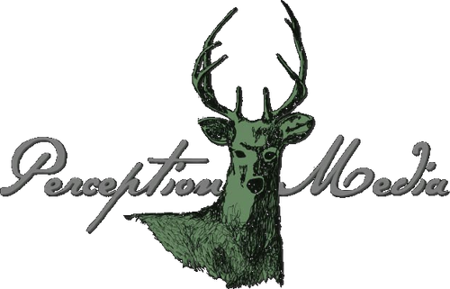 Perception Media logo