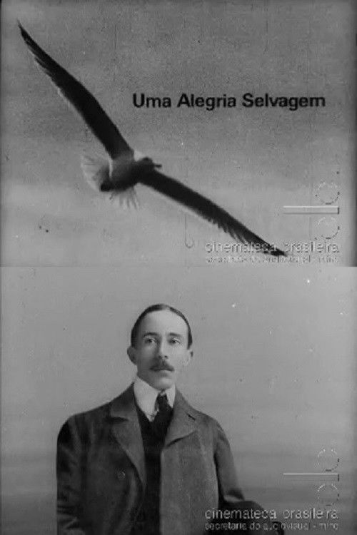 Uma Alegria Selvagem poster