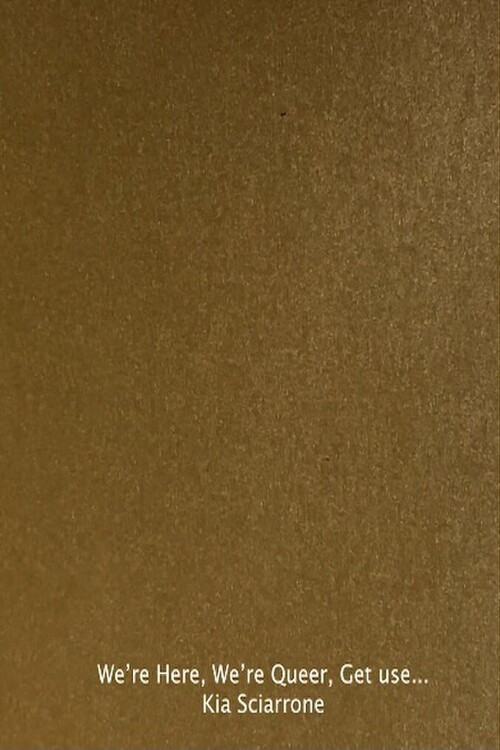 We‘re Here. We‘re Queer. Get Used to It! poster