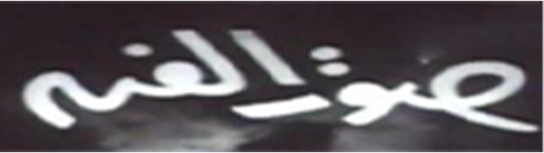 أفلام صوت الفن -  soutelfan logo