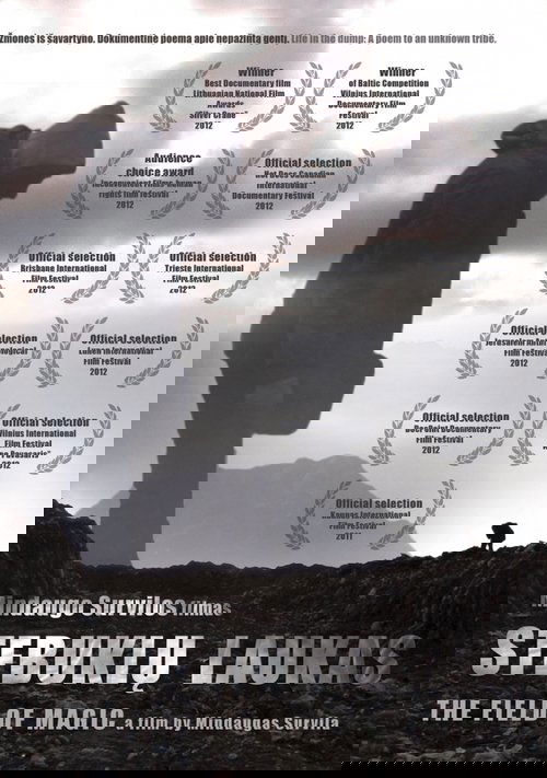 The Field of Magic poster