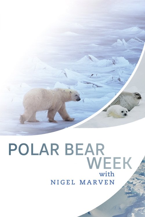 Polar Bear Week with Nigel Marven poster