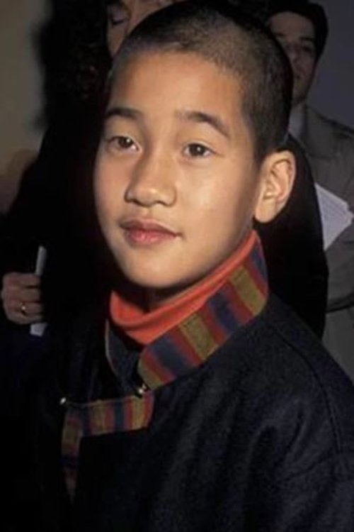Gyurme Tethong as Dalai Lama (Age 12)