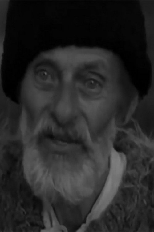 Nicolae Veniaș as Old Man
