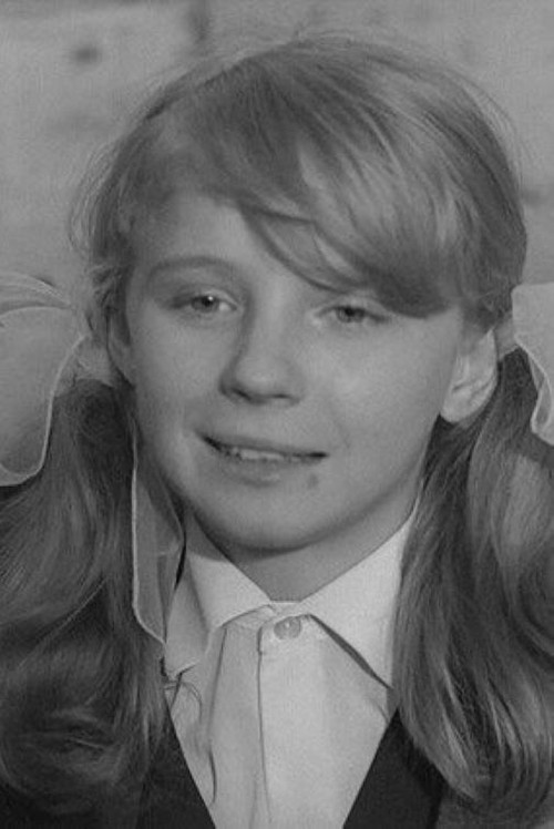 Contribution to the Theory of Linguistics