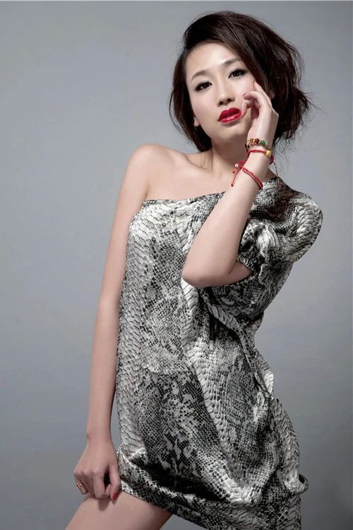 Hou Shu as Jing Jing