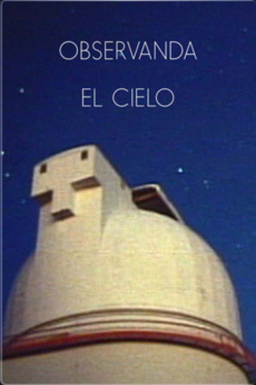 Observando el cielo poster