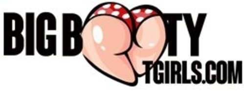 Big Booty Tgirls Studios logo