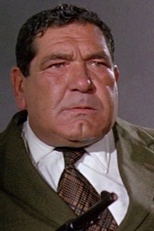 Amerigo Santarelli as Barman