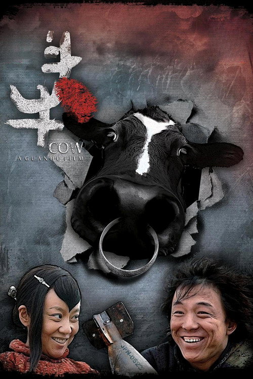 Cow poster