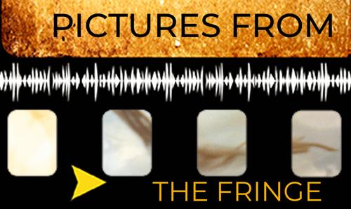 Pictures From The Fringe logo