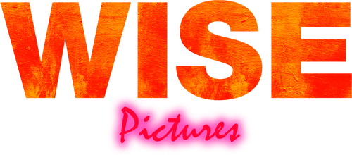 Wise Pictures logo