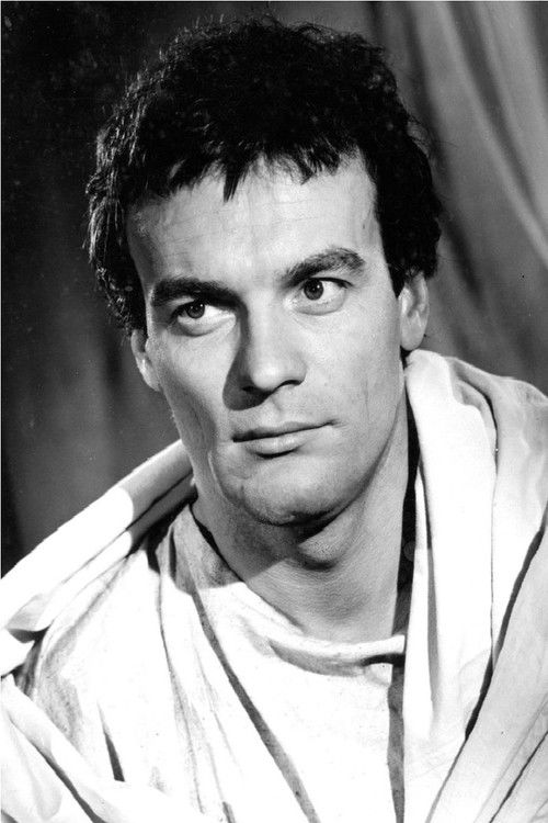 Emmerich Schäffer as 