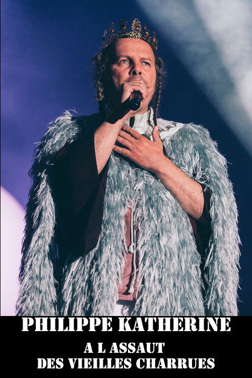 Philippe Katerine au festival des Vieilles Charrues poster