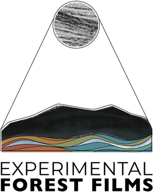 Experimental Forest Films logo