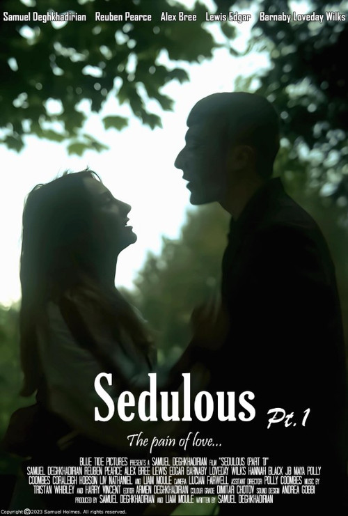 Sedulous - Part 1 poster