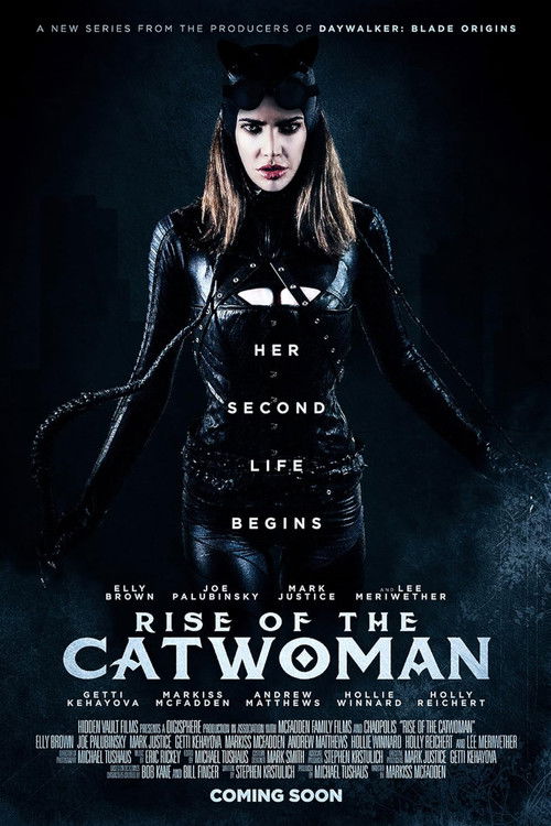 Rise of the Catwoman poster