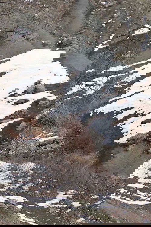 Who is Afraid of Ideology? Part 1