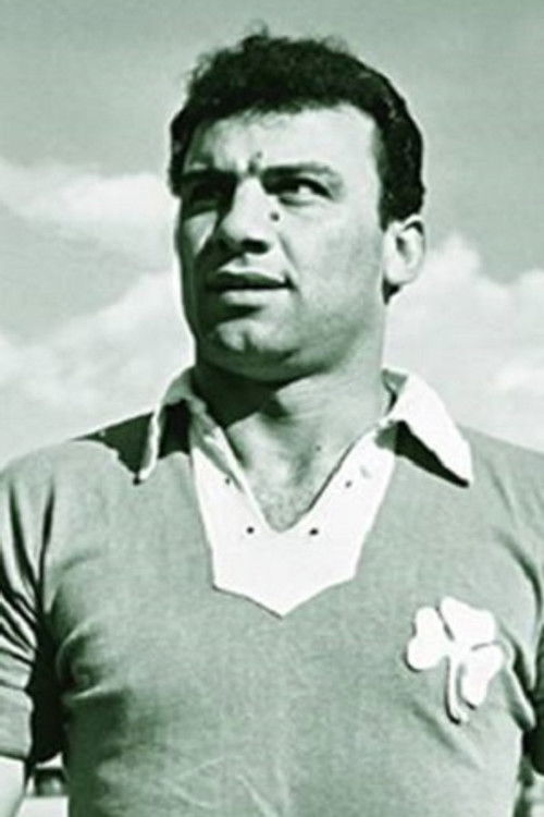 Kostas Linoxilakis as Kostas Linoxilakis