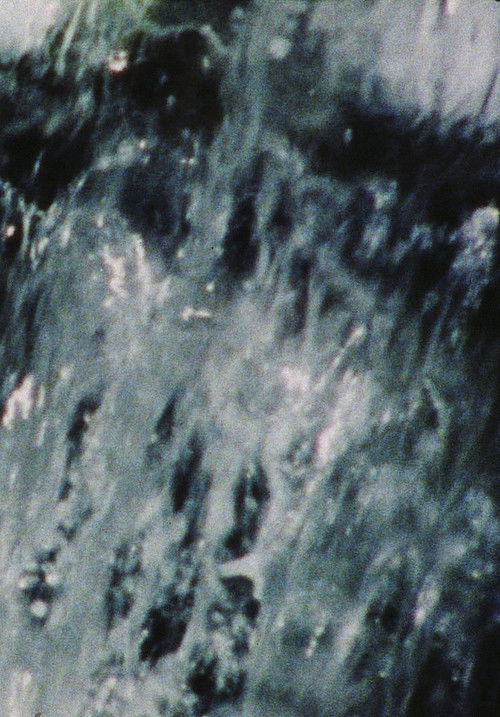 A Rain of Roses (To Rose Lowder)