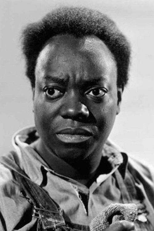 Ben Carter as Benjamin Brown