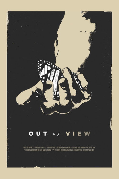 Out of View poster
