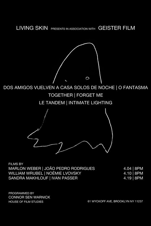 Two Friends Walk Home Alone at Night poster