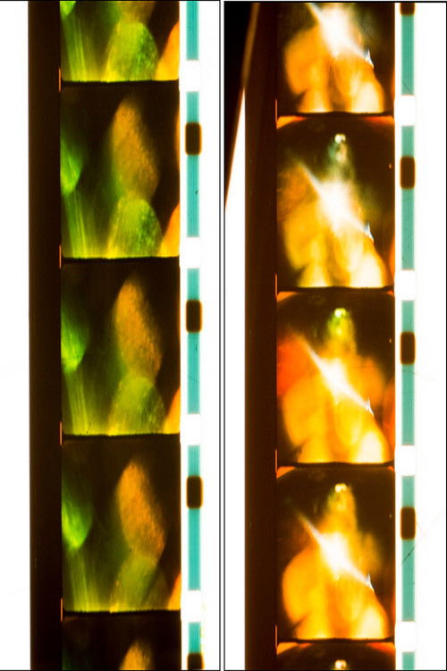 Quick Billy: Six Rolls; 14/41/43/46/47/52