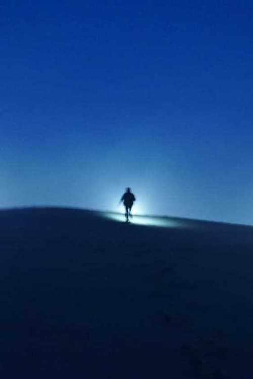 The way back home poster