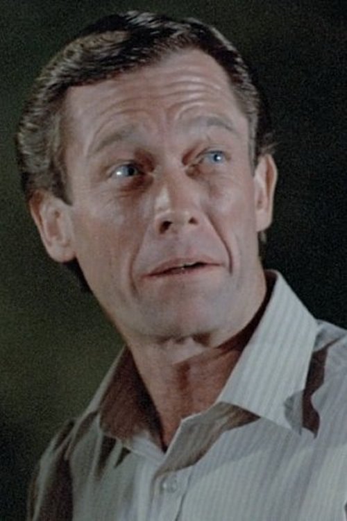 William Fuller as Brad