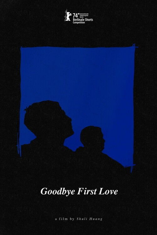 Goodbye First Love poster