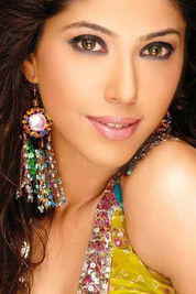 Addite Shirwaikar Malik as Meeta