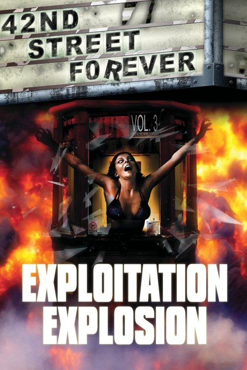 42nd Street Forever, Volume 3: Exploitation Explosion poster
