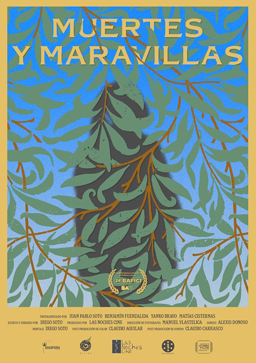 Deaths and Wonders poster