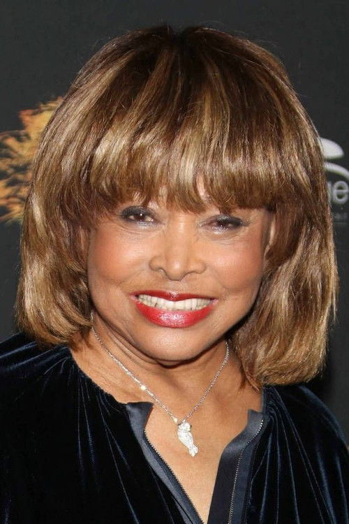 Tina Turner as Self